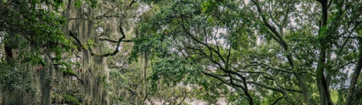 9 Peachy-Keen Scholarships for Students in Georgia for 2025