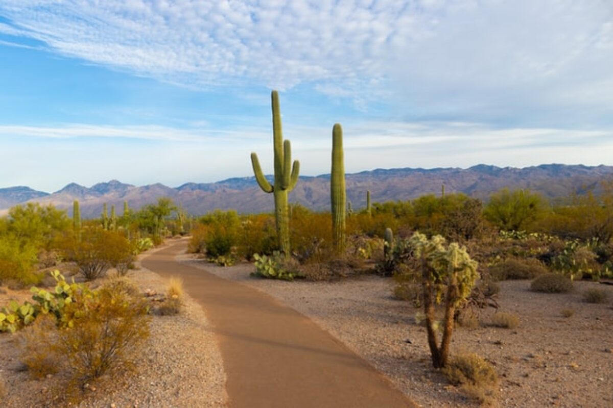 Arizona Scholarships for 2025