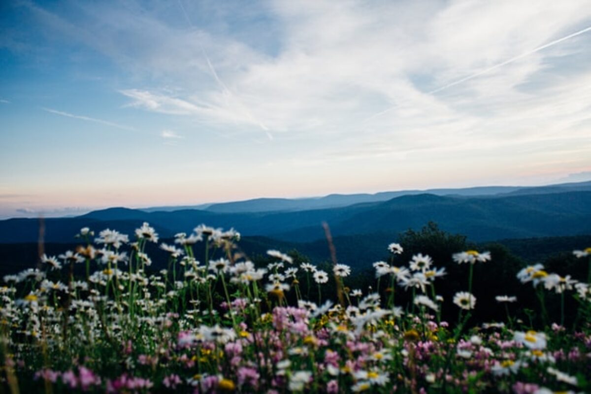 33 Wonderful West Virginia Scholarships for 2025