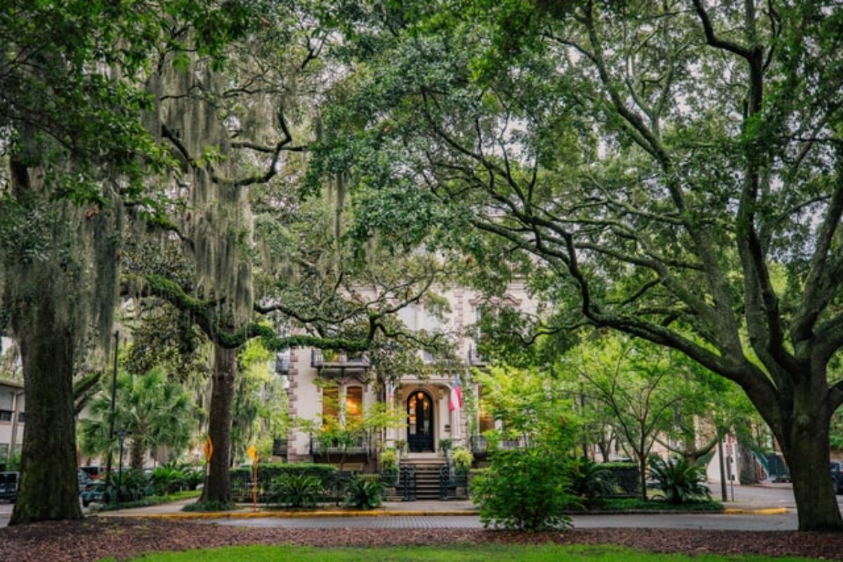 9 Peachy-Keen Scholarships for Students in Georgia for 2025