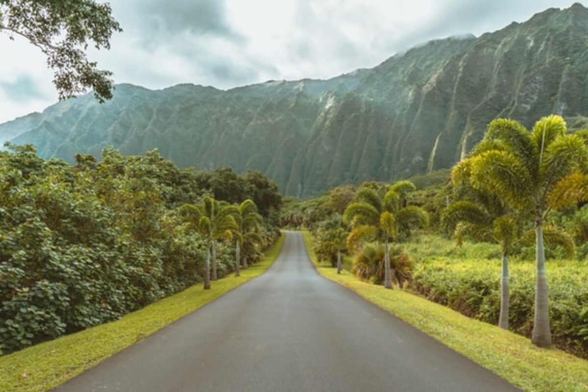 5 High-Quality Hawaii Scholarships for 2025