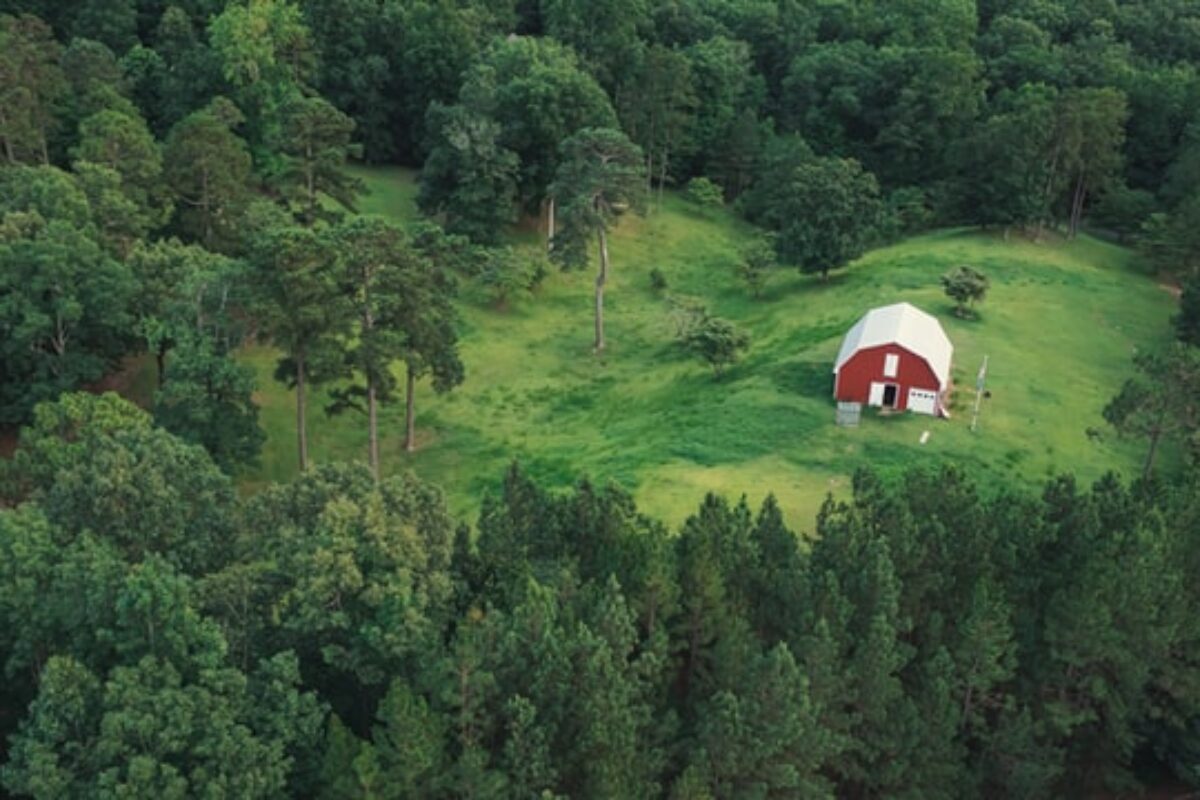 Awesome Scholarships in Alabama for 2025