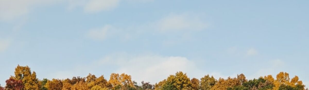 The Best Scholarships for Students in Indiana for 2025