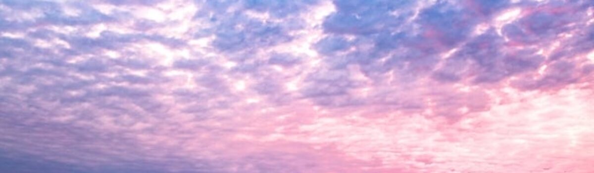 Neat Scholarships for Students in New Jersey for 2025