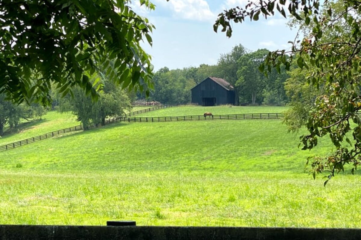 Knockout Scholarships for Students in Kentucky for 2025