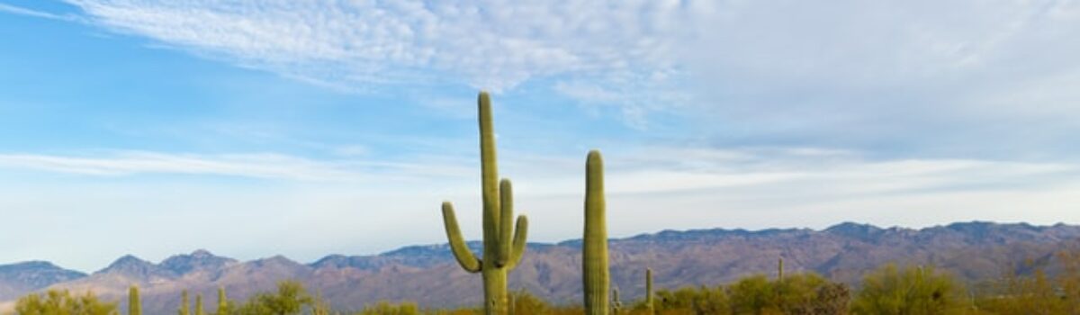 Arizona Scholarships for 2025