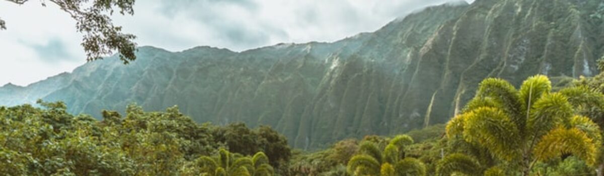 5 High-Quality Hawaii Scholarships for 2025