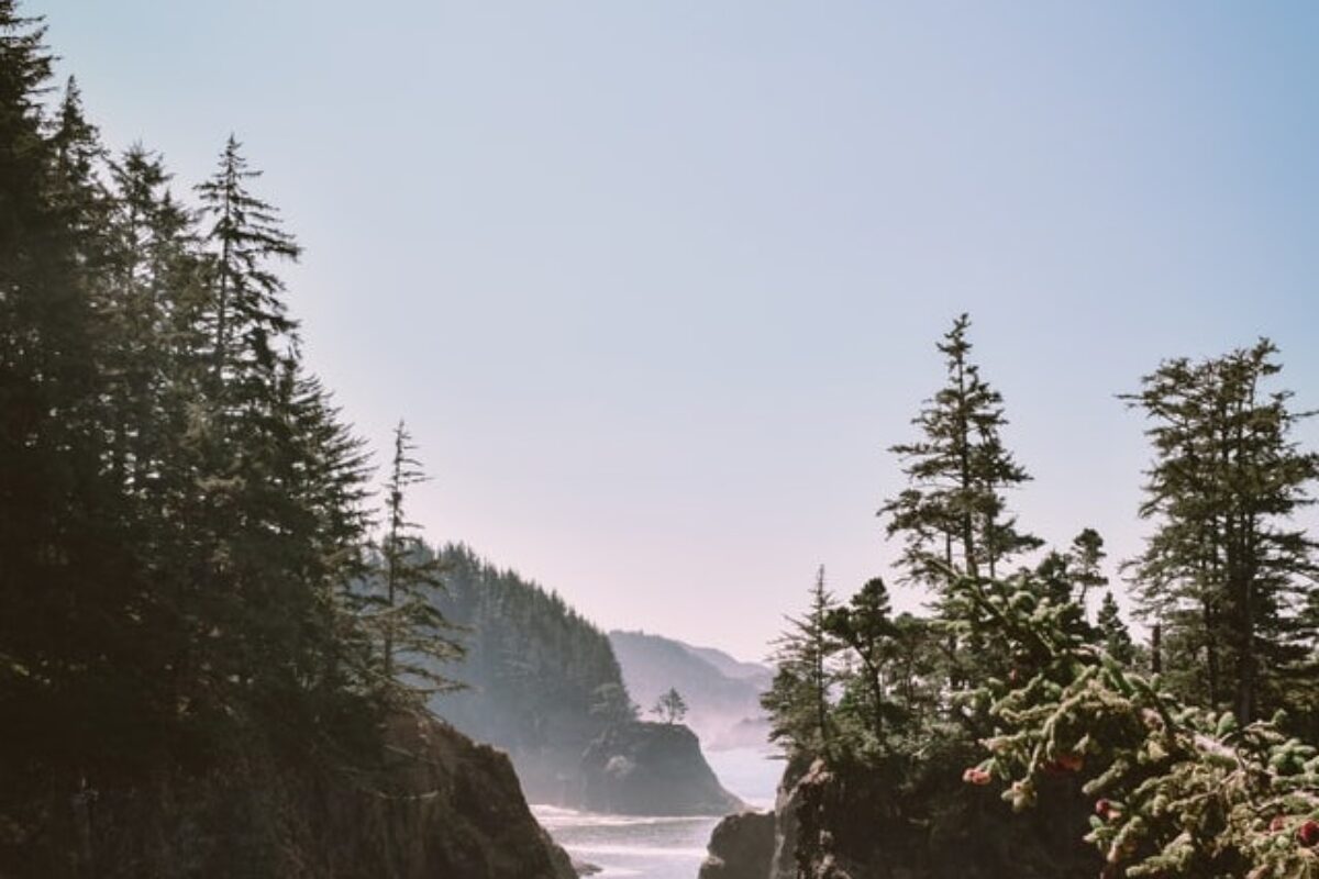 7 Outstanding Oregon Scholarships for 2025