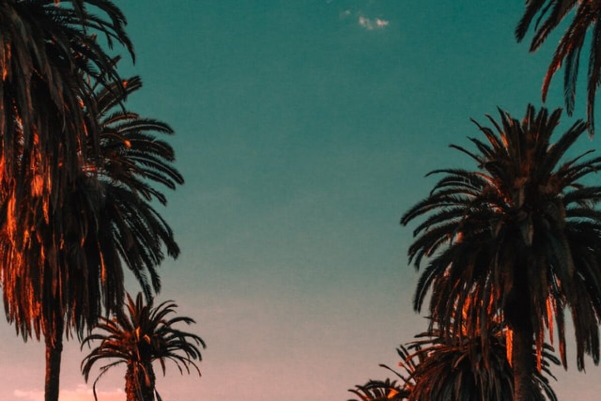 16 Scholarships for Students in California for 2025