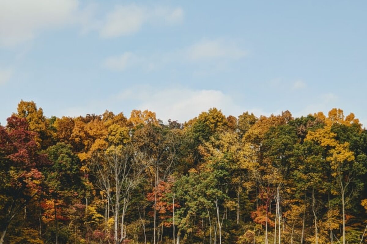 The Best Scholarships for Students in Indiana for 2025